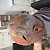 Parkinson's disease 'may' start in gut